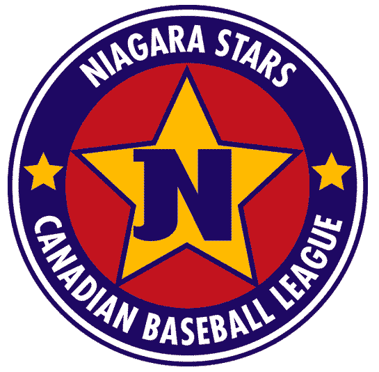 Niagara Stars 2003 Primary Logo iron on heat transfer